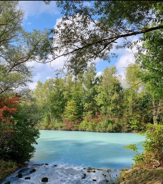 Harpener Teiche (Werner Teiche)