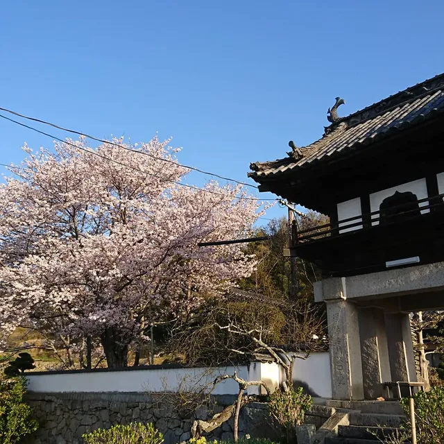 Ryuozan Zuiun Temple
