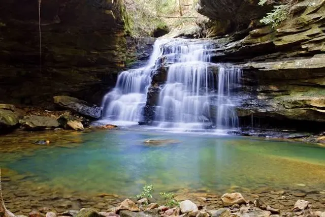 Blackjack Springs Wilderness