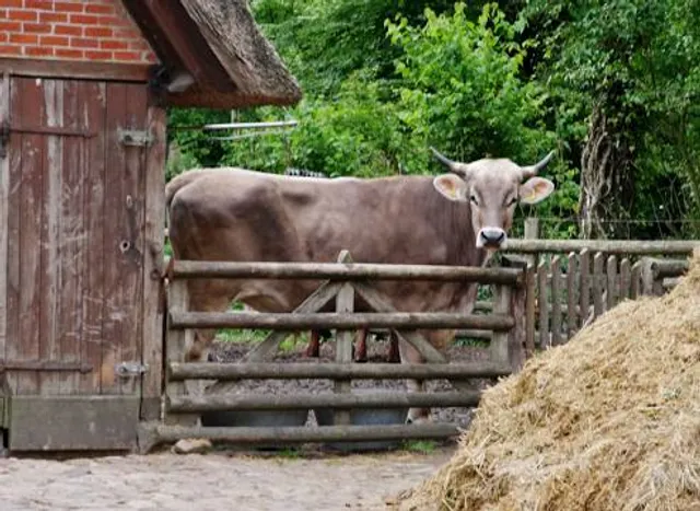 Museumsdorf Volksdorf