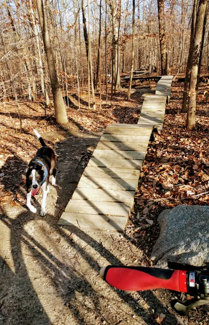 Meadowood Mountain Bike Trail Parking