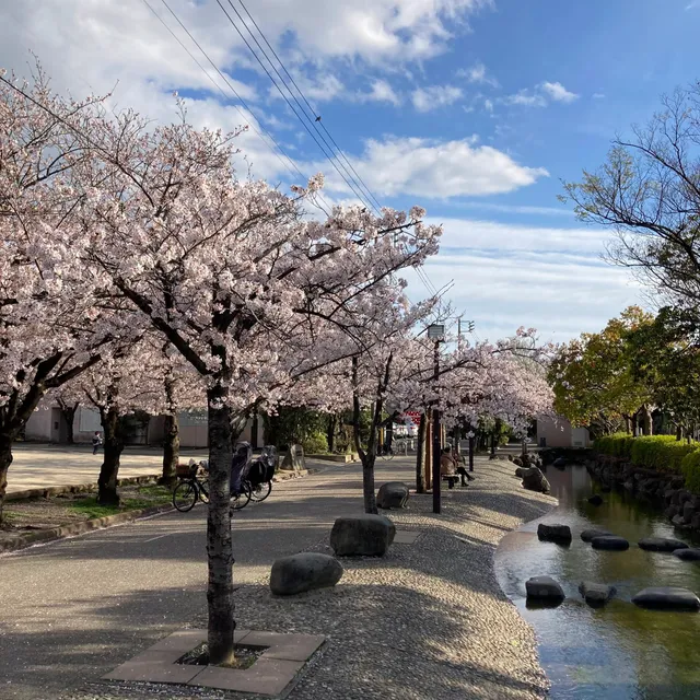 Ninoe Sakura Park