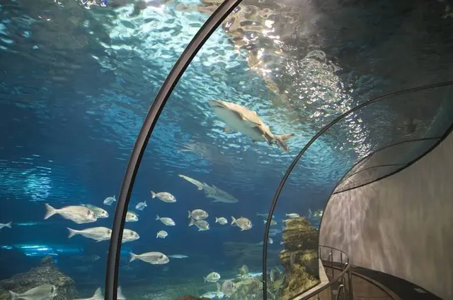 Aquàrium Barcelona