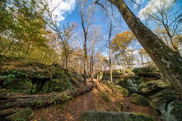 Nelson-Kennedy Ledges State Park