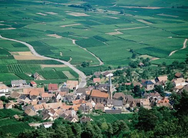 Route des Vins d'Alsace
