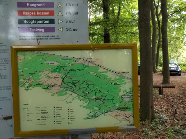 Wandelroute Kaapse Bossen