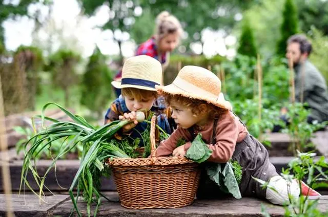 The Potager Extraordinaire