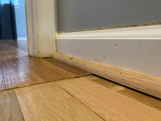 Magic Carpet & Flooring