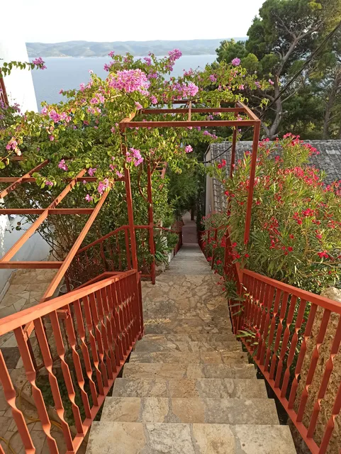 Ivana Black & White Apartments