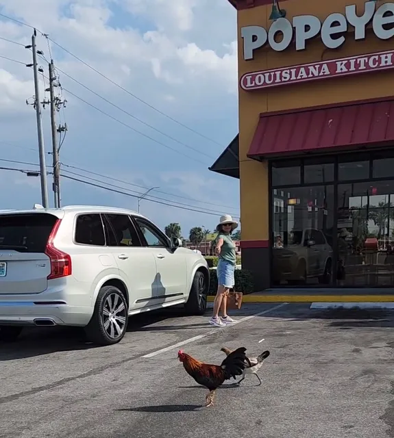 Big Lake Shopping Center