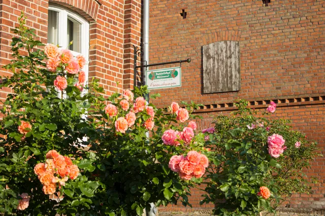 Ferienwohnungen Damwildhof Blievenstorf