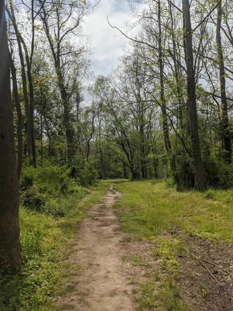 French Creek Trail
