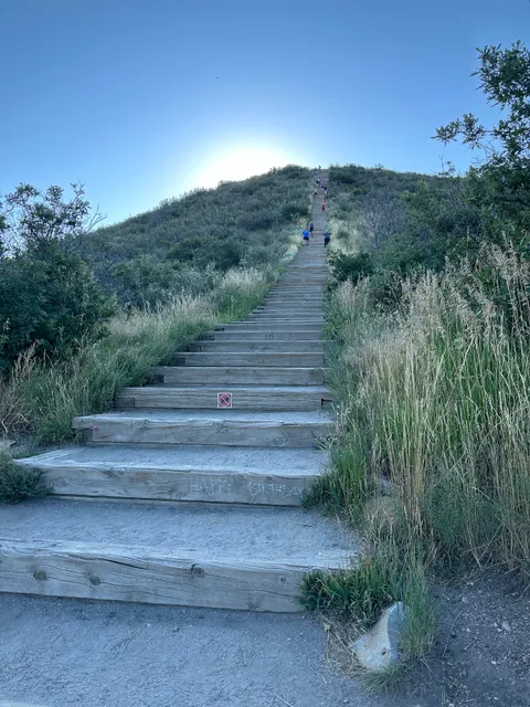 Challenge Hill and Trails at Philip S. Miller Park