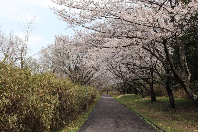 Aichi Ike Athletic Park