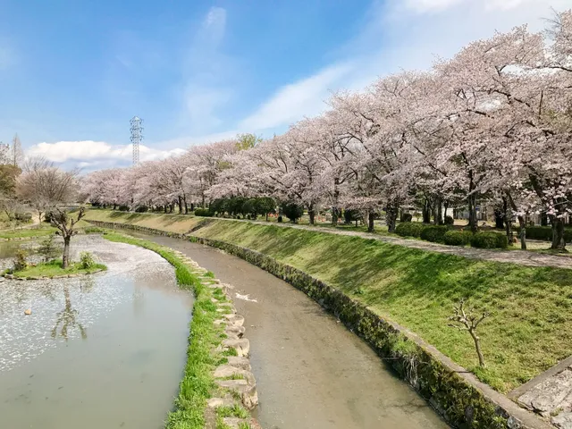 Mitsumata Fureai Park