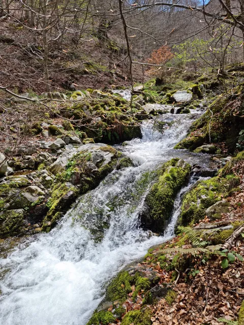 Área Recreativa de Zarcia