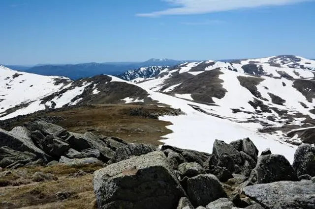 Mount Kosciuszko