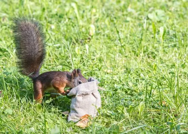 Little Red River Park