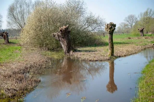 Bourgoyen-Ossemeersen