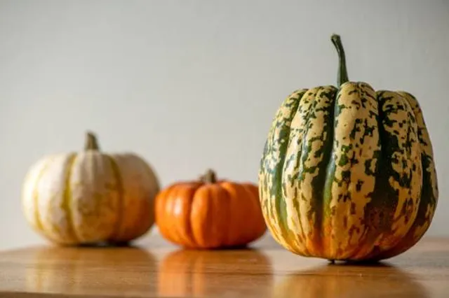 Selangor Fruit Valley (SFV)