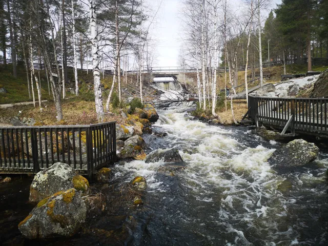 Fjällbotanisk Trädgård