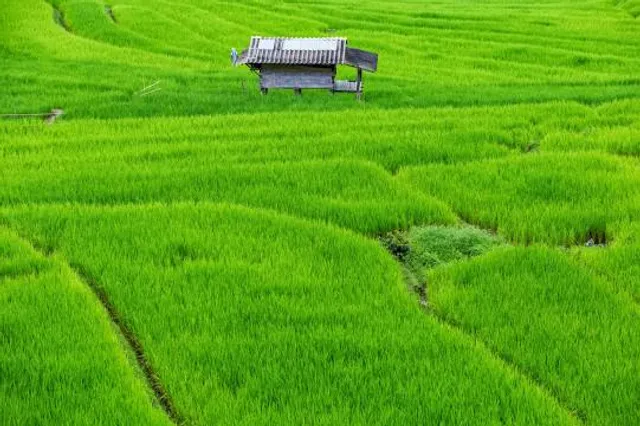 Masarykova věž samostatnosti