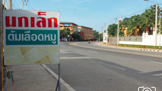 นกเล็กต้มเลือดหมู สาขา3 ท่าซุง