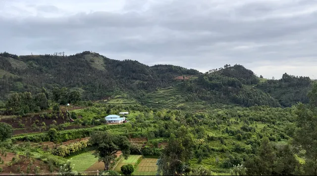 Evergreen Meadows Glamps