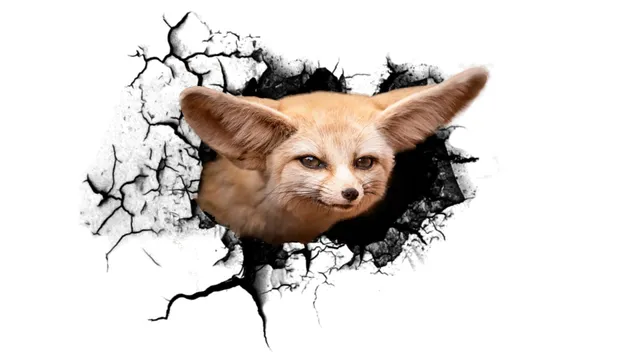 La perle aux oiseaux