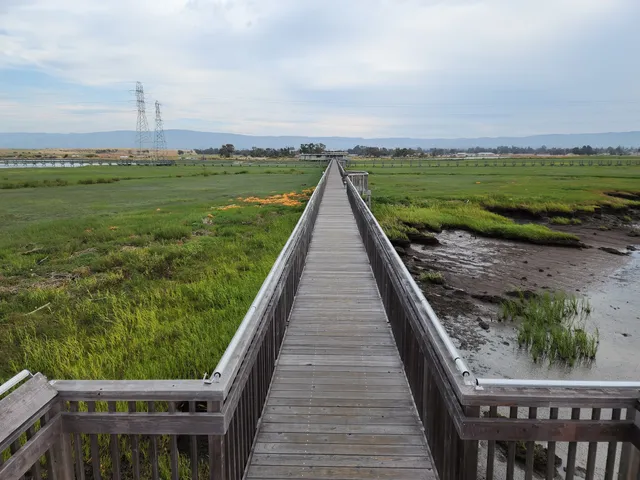 Baylands Nature Preserve
