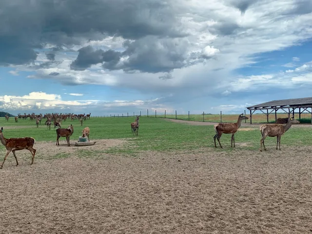 Ferma Blahorodnoho Olenya Ekopark Amila