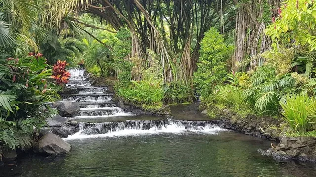 Tabacon Hot Springs