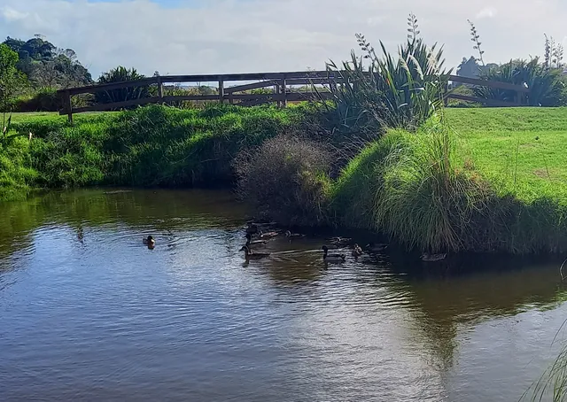 Gordon Carmichael Reserve