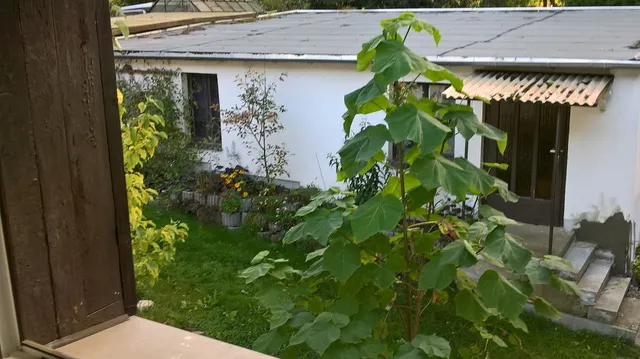 Pension Fischer - Die Pension im Grünen