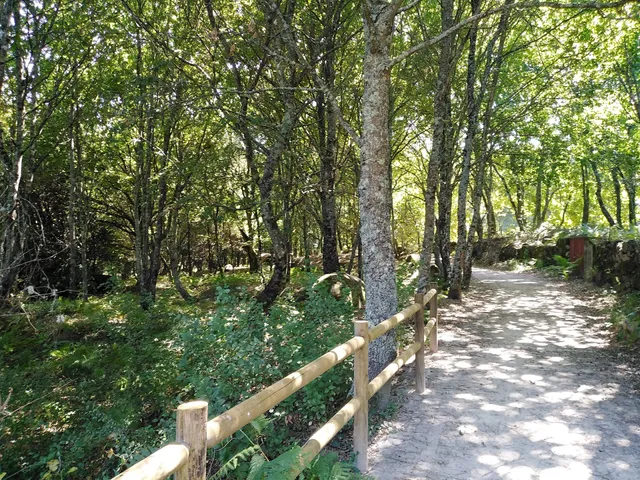 The Urban Park Aguieira