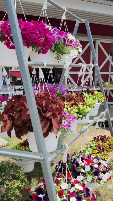 North County Farmers Market