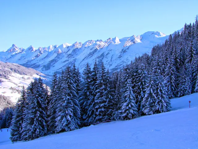 Ferme L'Apreski - Reblochons et Appartement