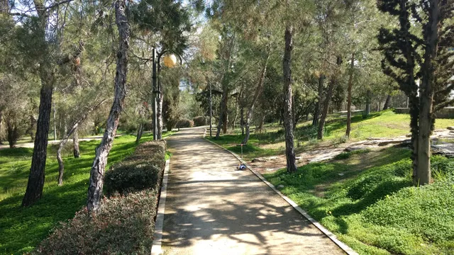 Linear Park