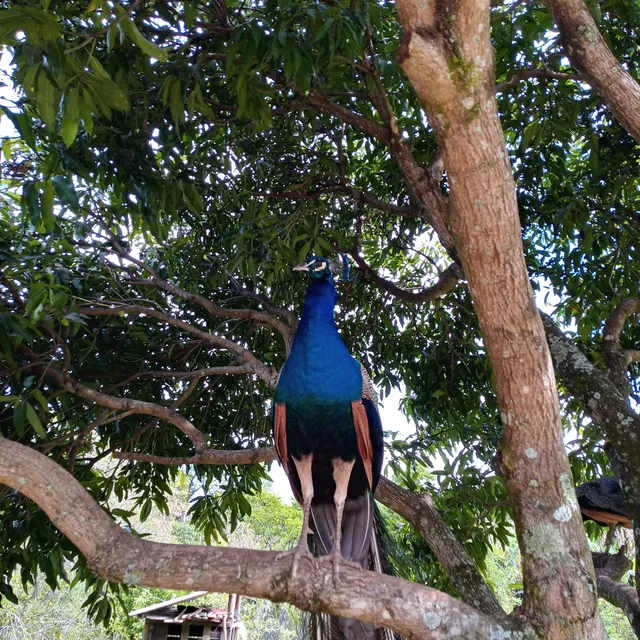 Poço do Major - Rancho Toledo Balneário