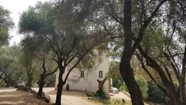 Domaine des Milelli - Duminiu di I Milelli