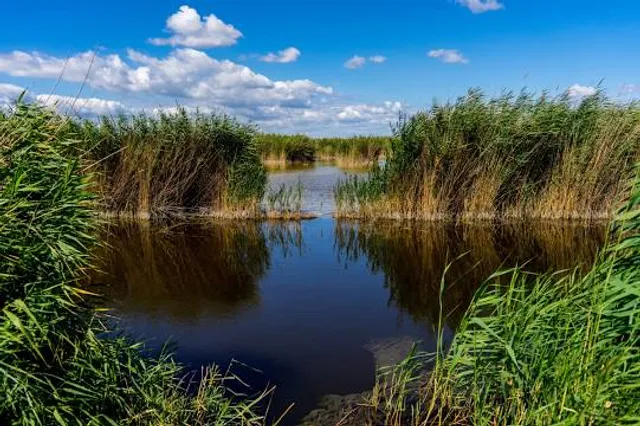 Lake Neusiedl - Seewinkel National Park