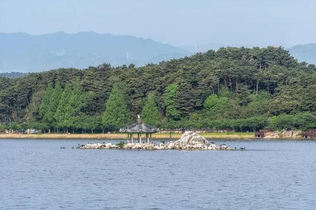 Gyeongpo Lake Plaza