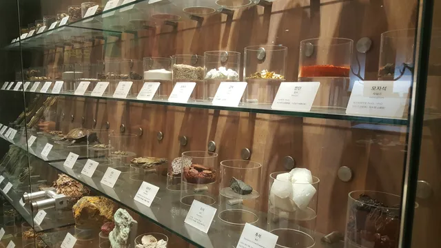Seoul Yangnyeongsi Herb Medicine Museum