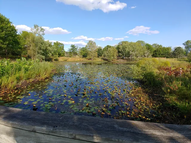 Grant Woods Forest Preserve