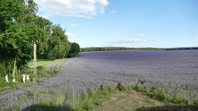 Rezerwat Przyrody Jezioro Prosino