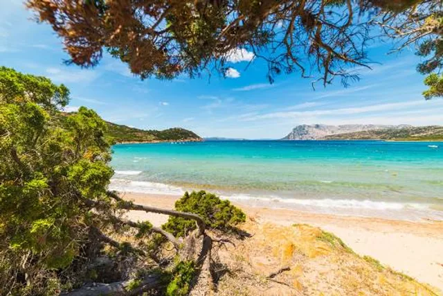 Spiaggia Di Porto Cavallo Reviews open Hours photo Spots things To Do 