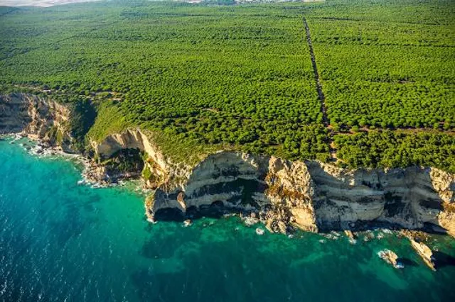 La Breña y Marismas del Barbate Natural Park