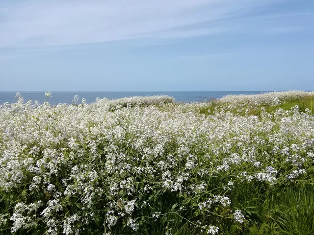 Seaside Natural Park