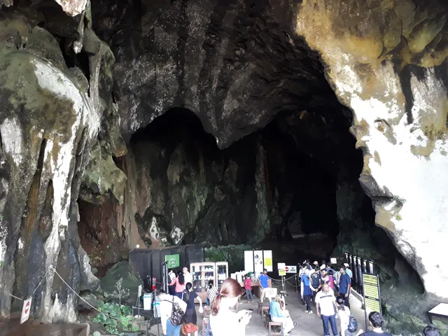 Dark Cave Conservation Site