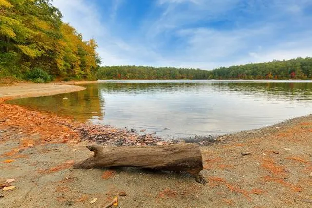 Colored Sands Forest Preserve